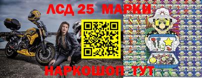 индика Гусь-Хрустальный