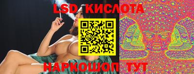 индика Гусь-Хрустальный