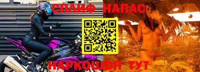 индика Гусь-Хрустальный