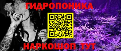 индика Гусь-Хрустальный