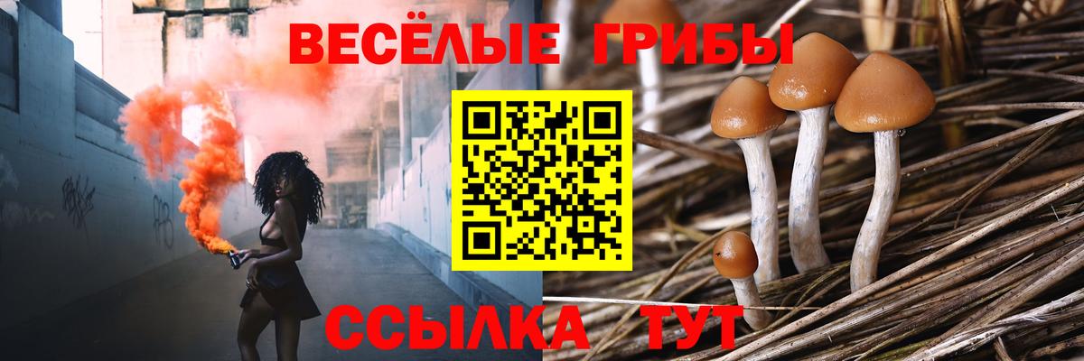 Новый Уренгой  Псилоцибиновые грибы Magic Shrooms  Псилоцибиновые грибы ЛСД  Вход с VPN 